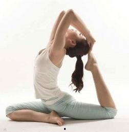 新手瑜伽在线视频播放,在线视频教程全解析