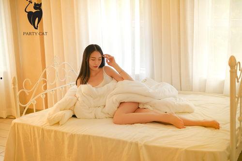 猫轰趴在线视频,一场萌宠狂欢的在线盛宴